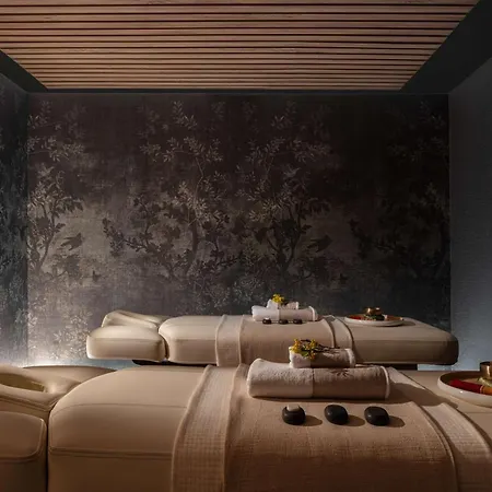 Anantara Plaza - A Leading Of The World 5* ניס